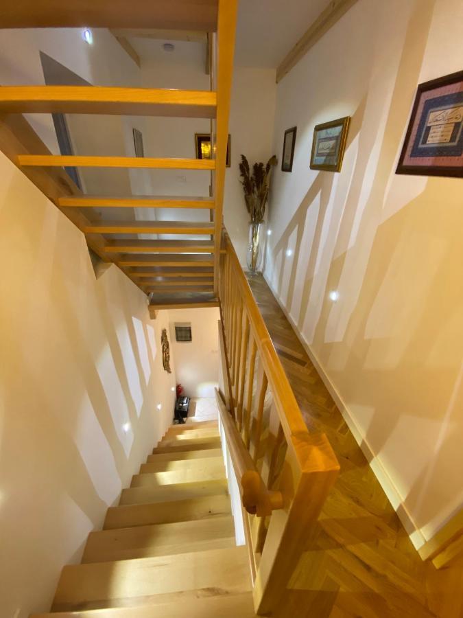 Guesthouse Riba Vrsar Dış mekan fotoğraf