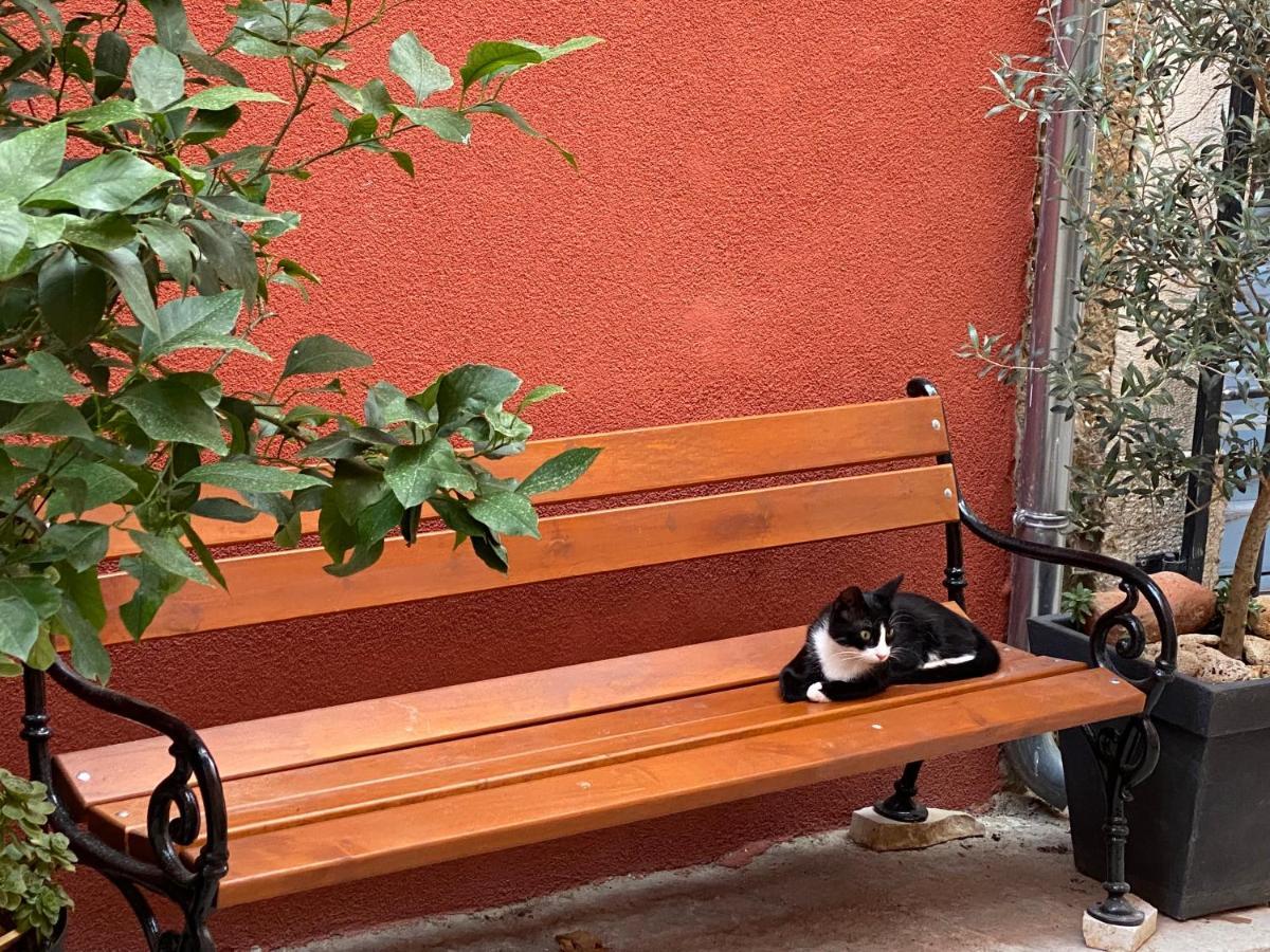 Guesthouse Riba Vrsar Dış mekan fotoğraf